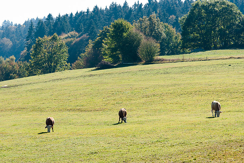 heimat-02061.jpg