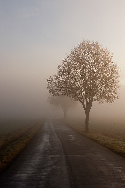 heimat-02587.jpg