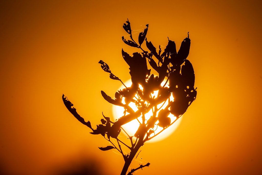 Urlaub2018-45S-01111.JPG