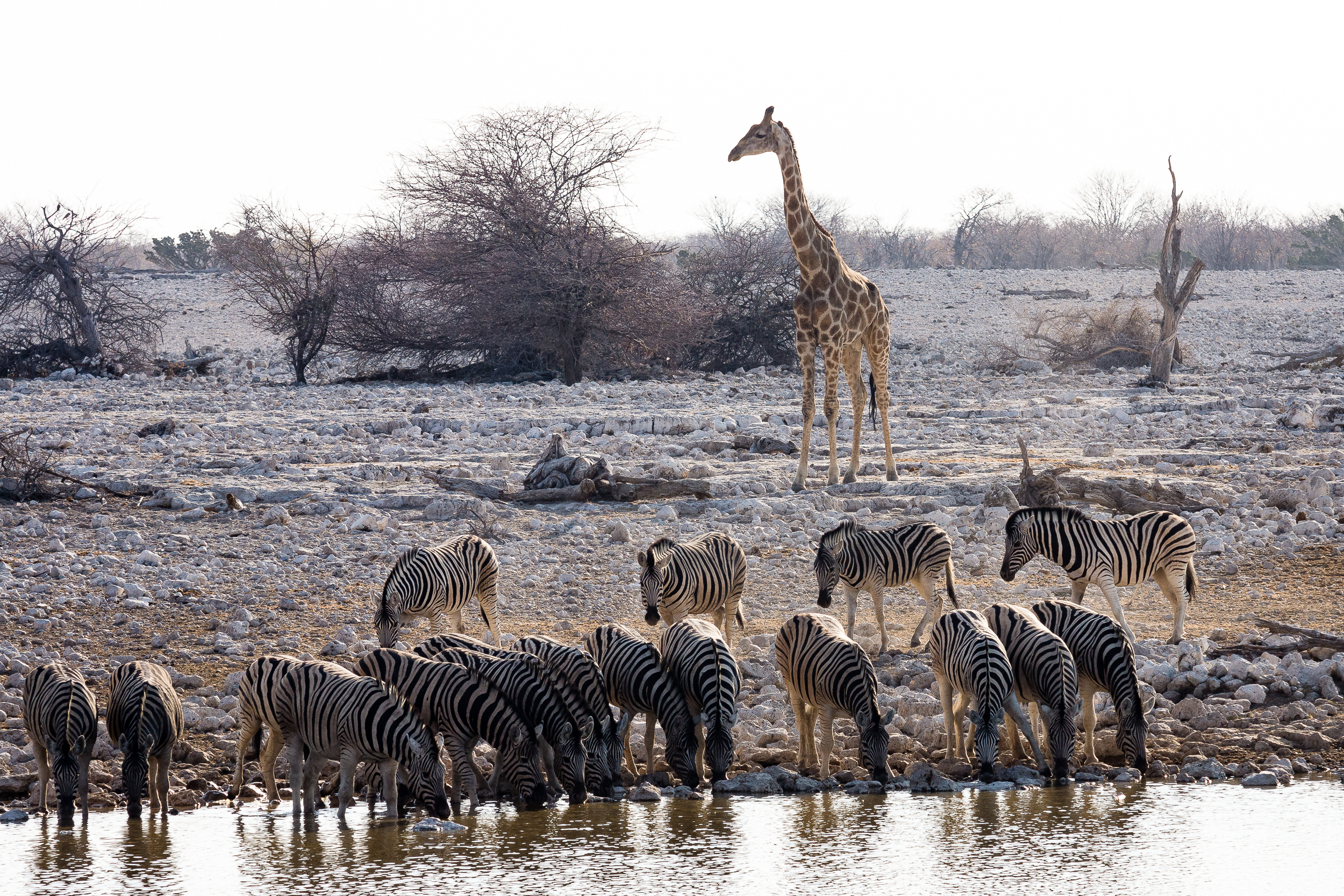 Namibia 2016