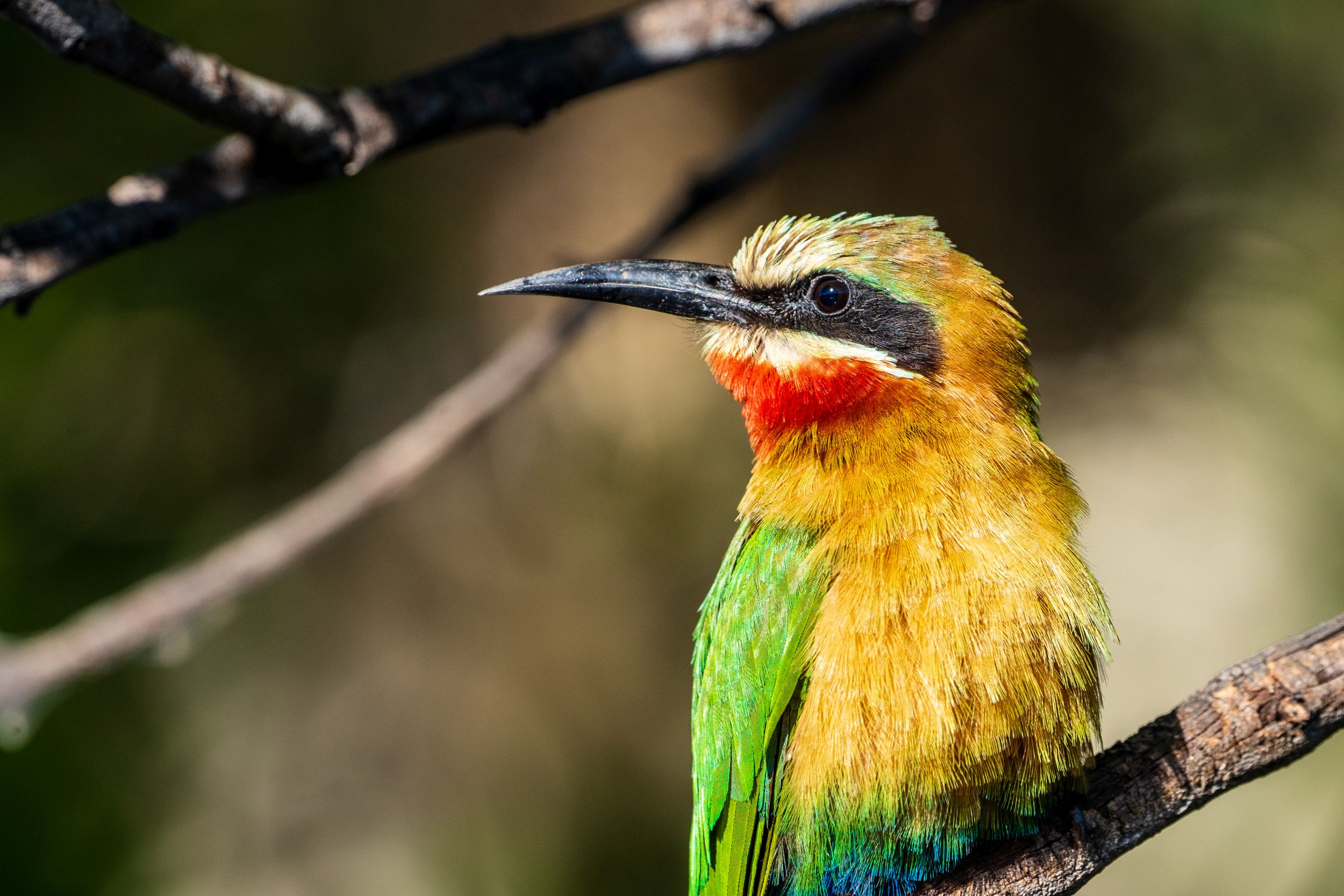 Urlaub2018 45S 00047