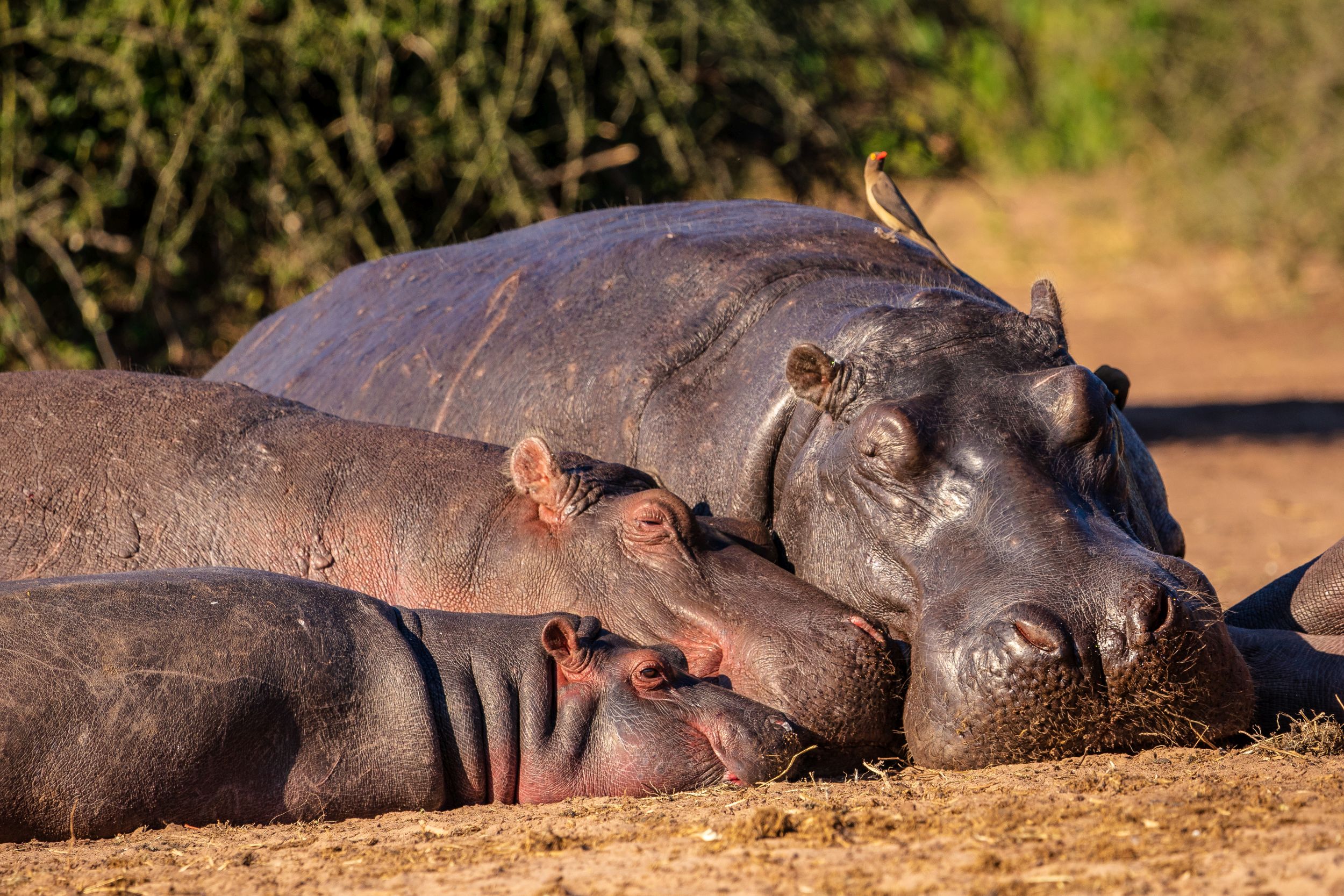 Urlaub2018 45S 00258