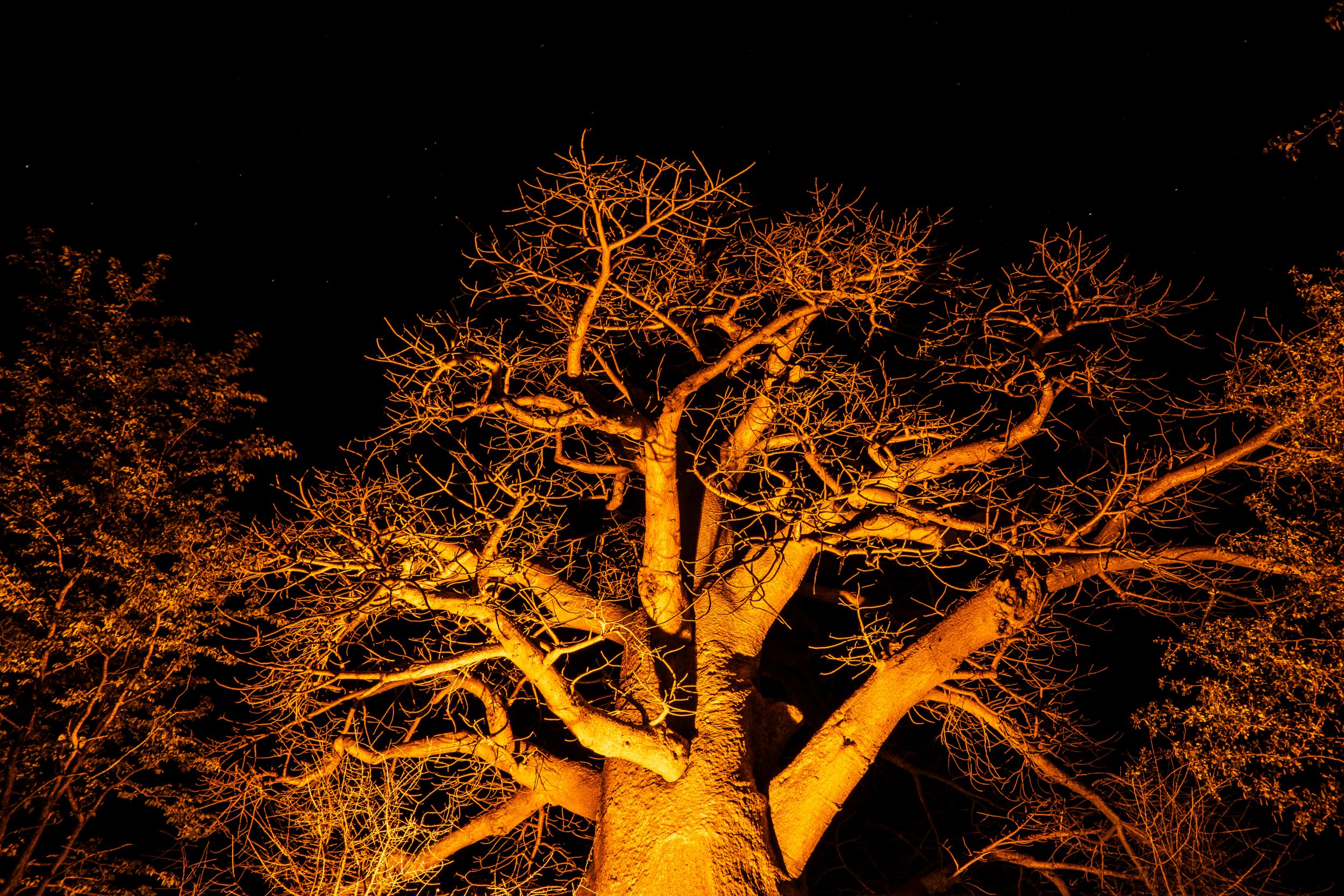 Urlaub2018 45S 00766