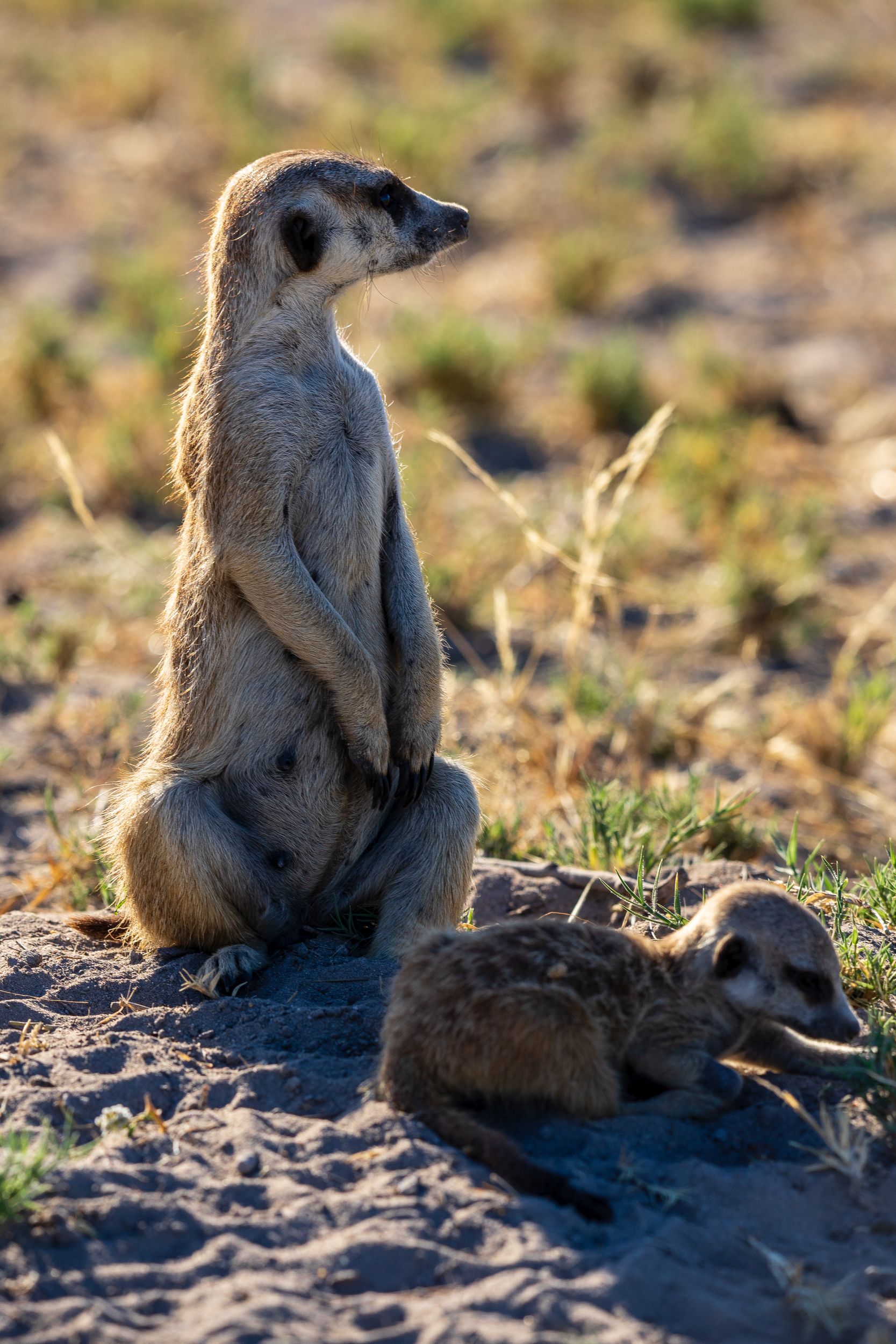 Urlaub2018 45S 00794