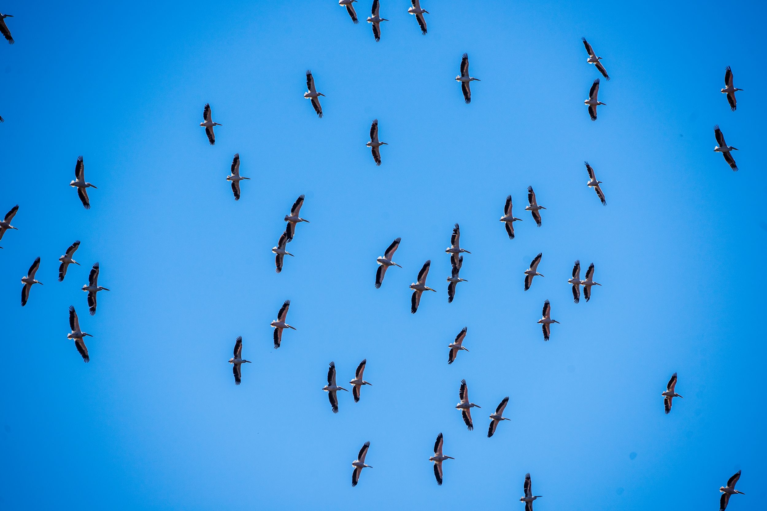 Urlaub2018 45S 01052