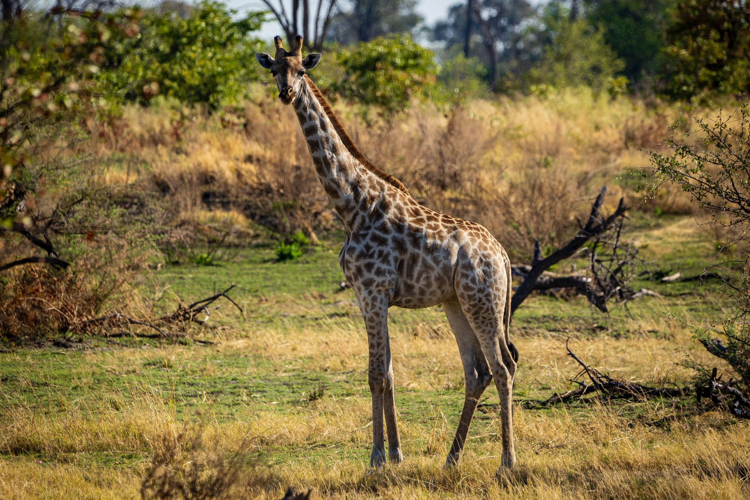 Urlaub2018 45S 011611