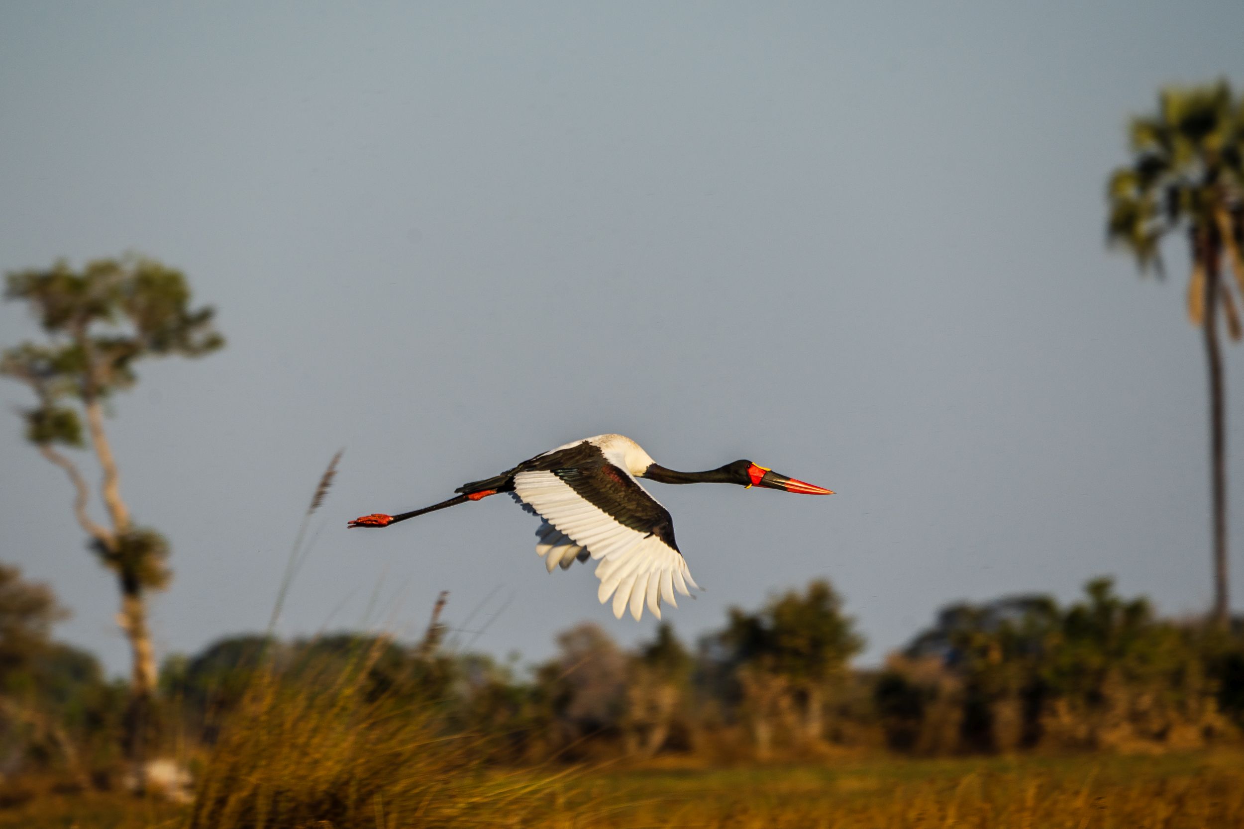 Urlaub2018 45S 01195