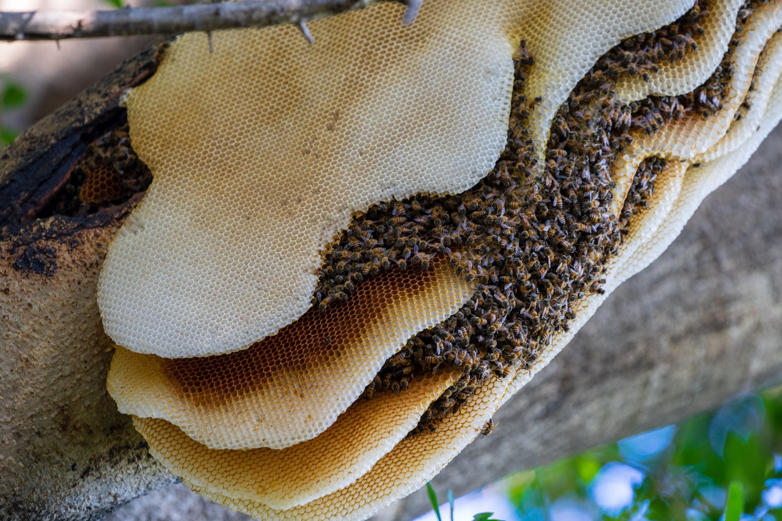 Urlaub2018 45S 09787