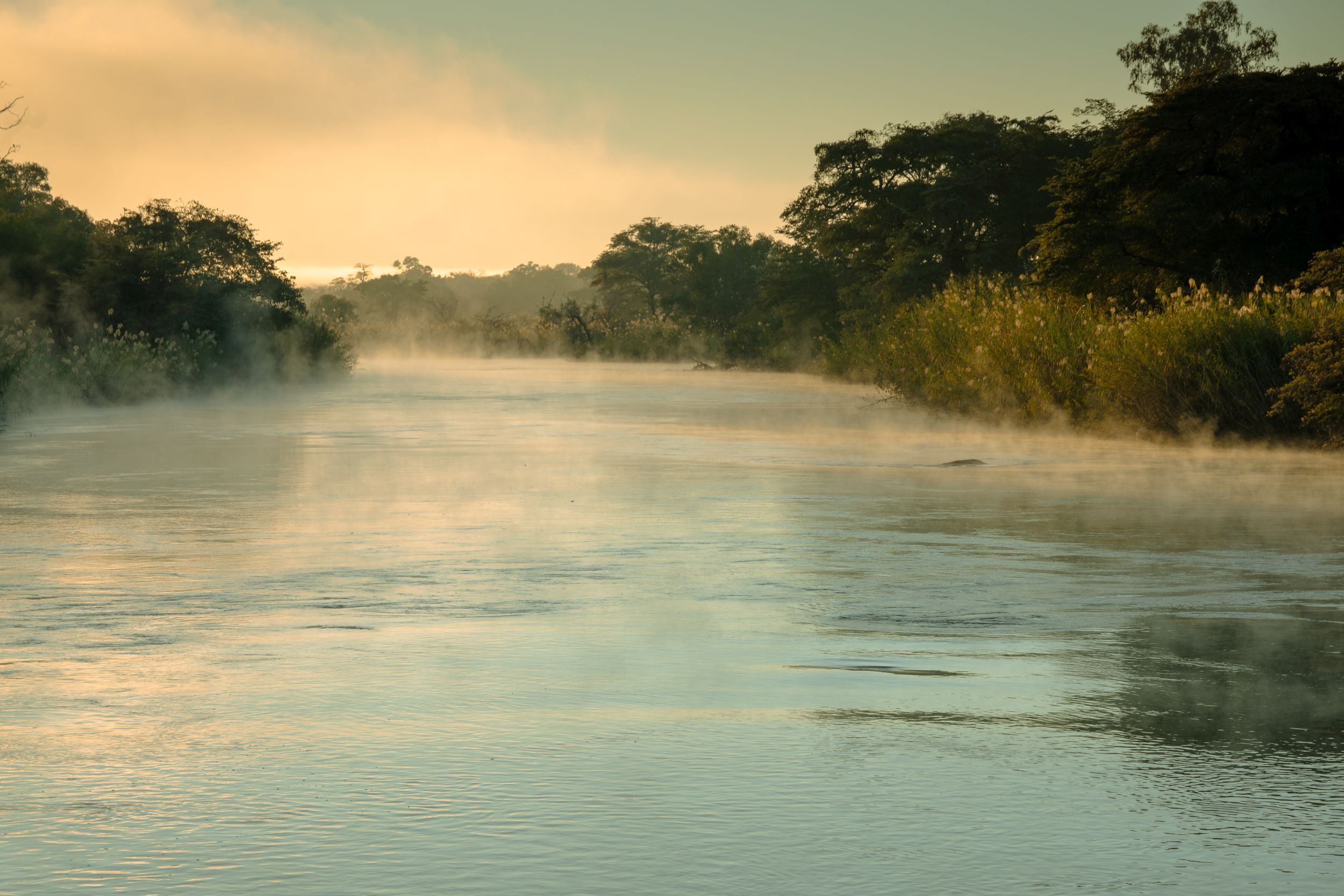 Urlaub2018 45S 09981