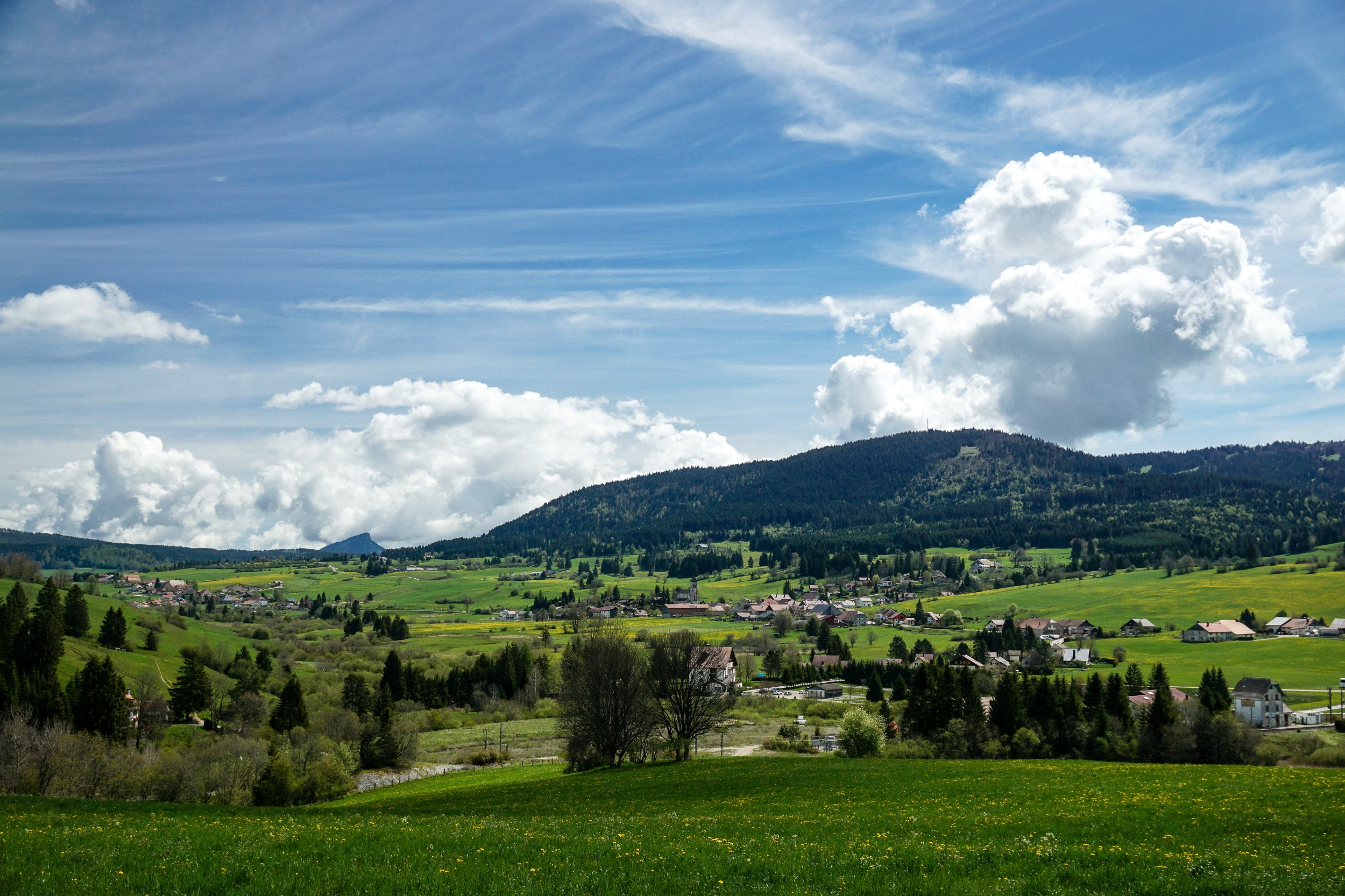 Radreise2017 Buch 05976