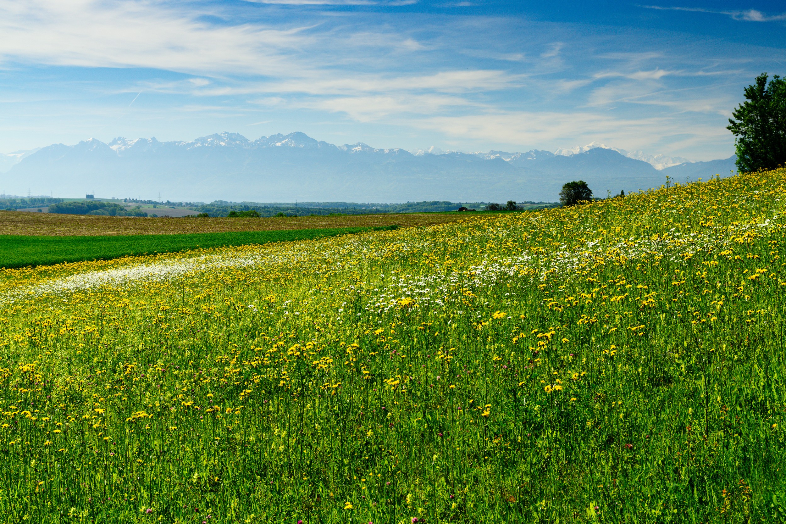 Radreise2017 Buch 06041