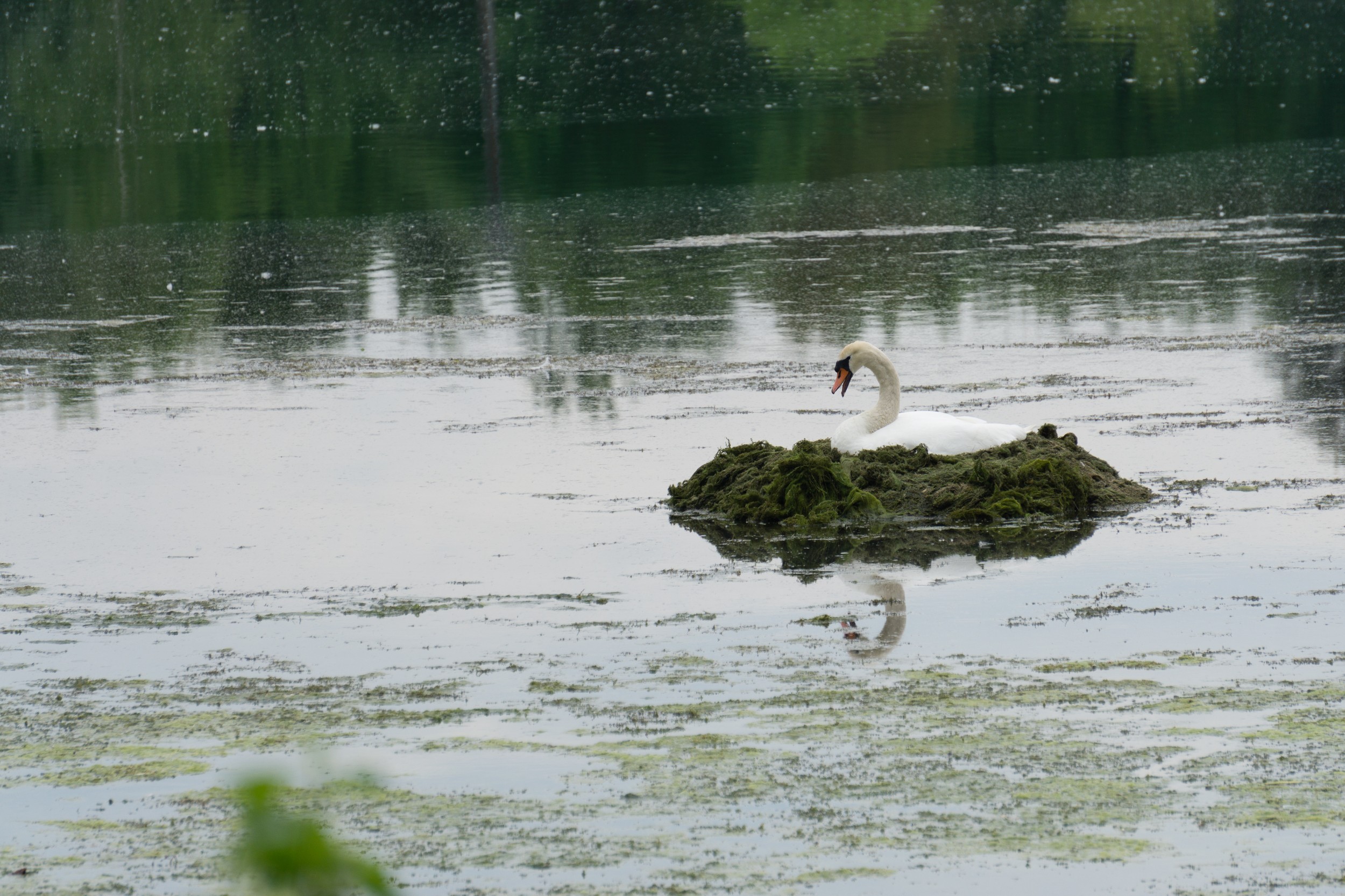 Radreise2017 Buch 08698