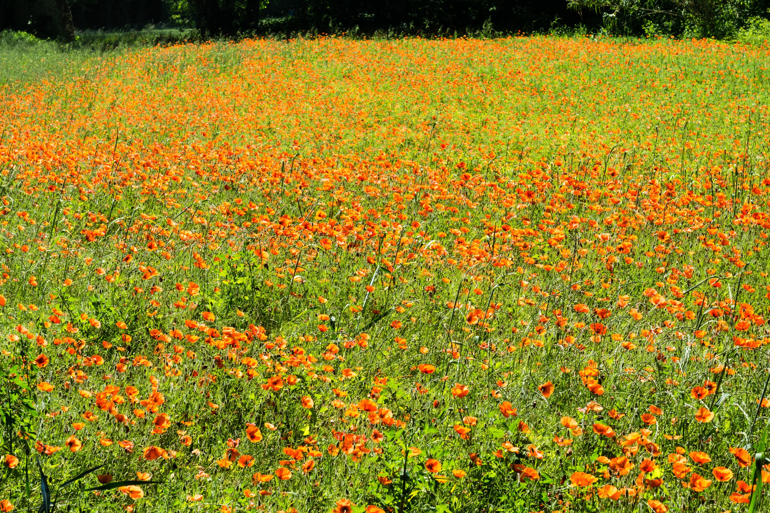 Radreise2017 Buch 09000