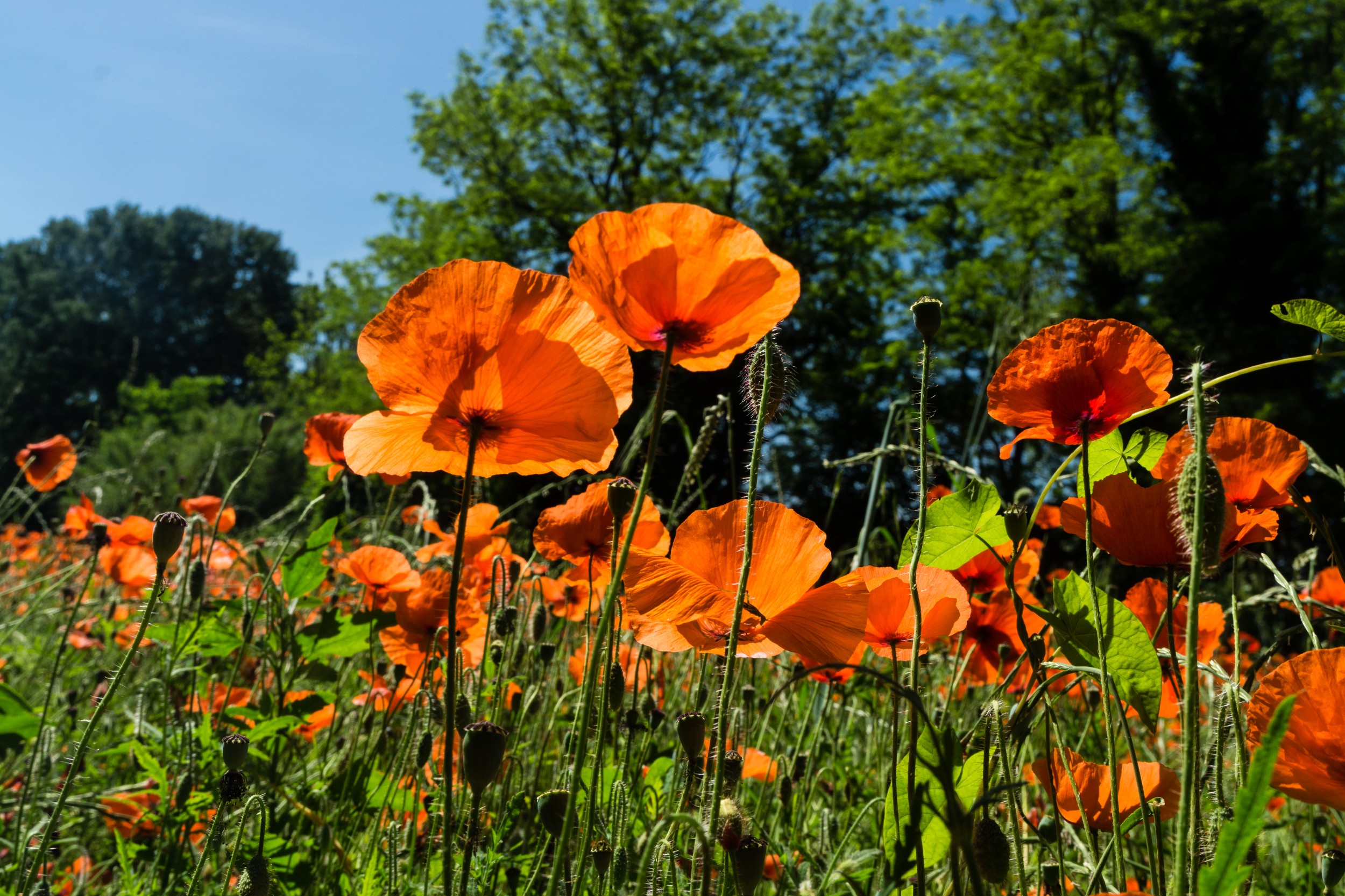 Radreise2017 Buch 09005