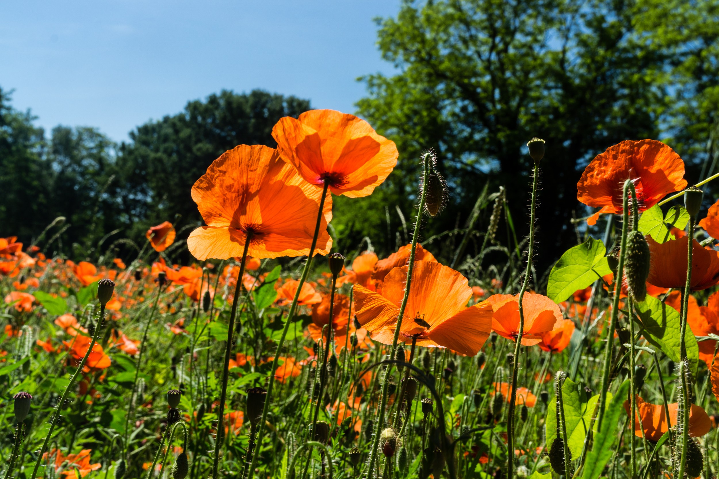 Radreise2017 Buch 09007