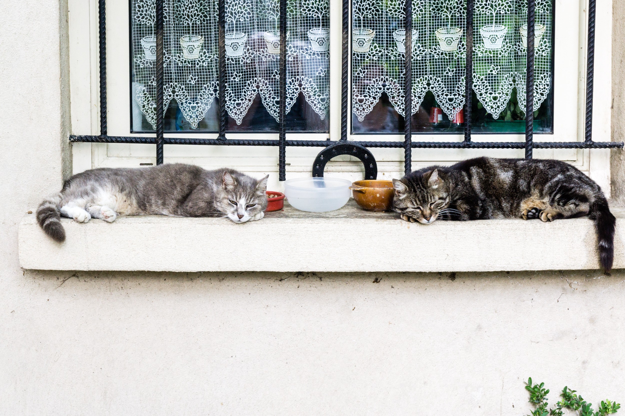 Radreise2017 Buch 09097