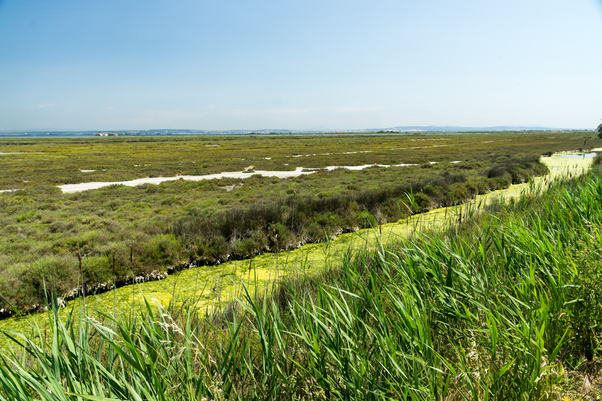 Radreise2017 Buch 09354