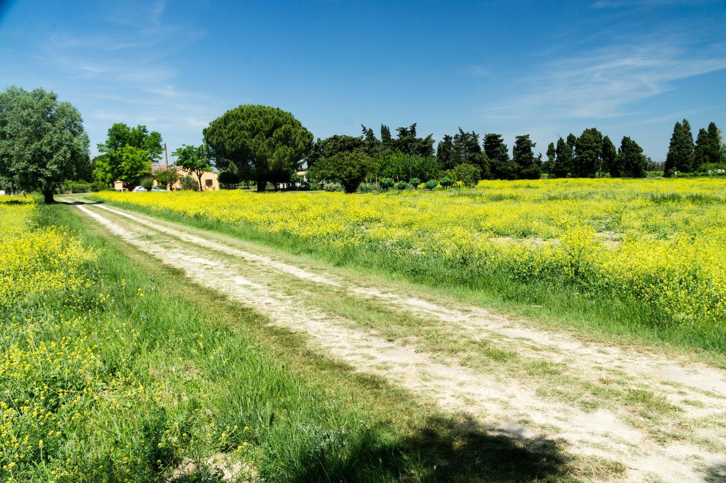 Radreise2017 Buch 09421