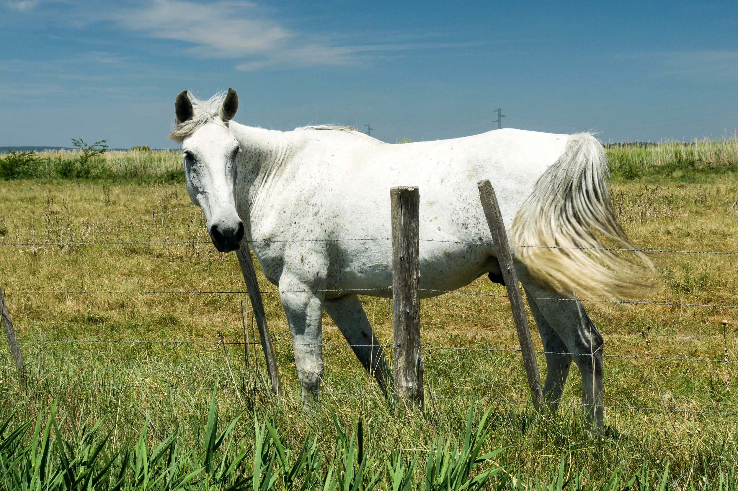 Radreise2017 Buch 09429