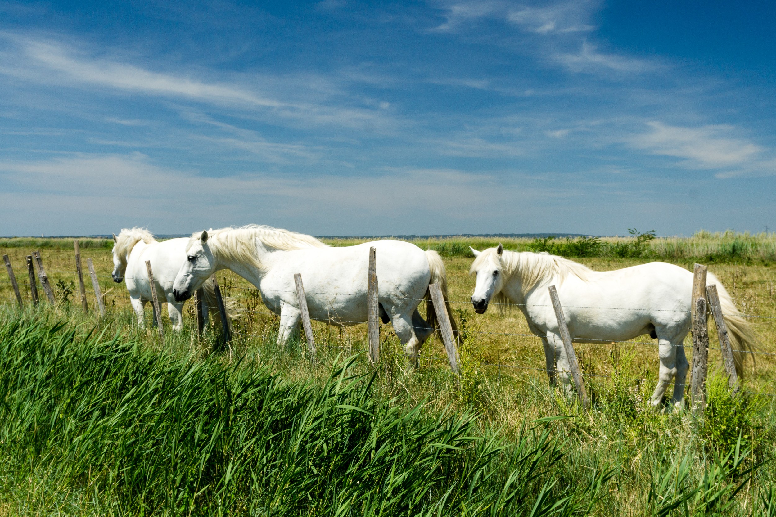 Radreise2017 Buch 09430