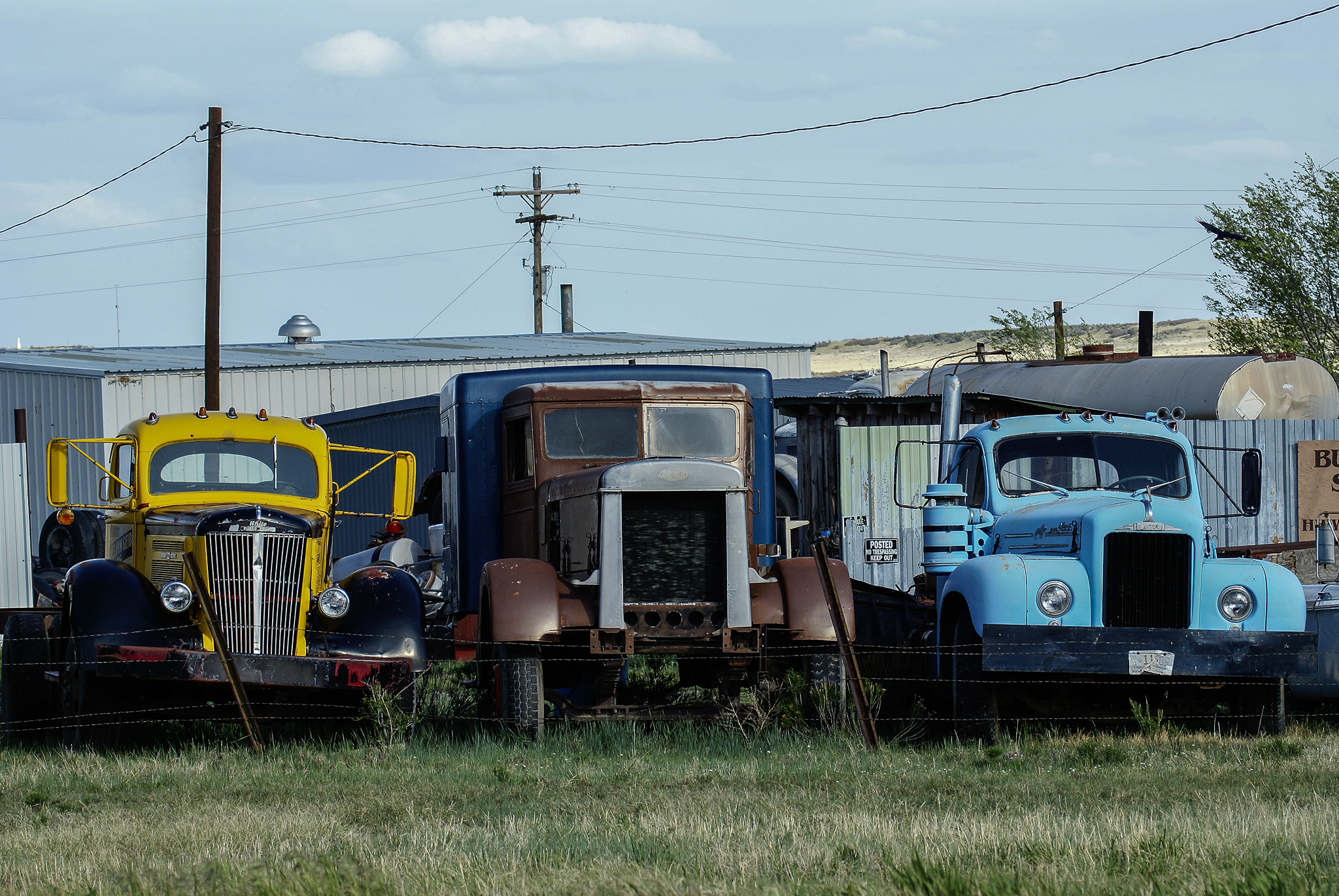 DSC01446 bearbeitet 1
