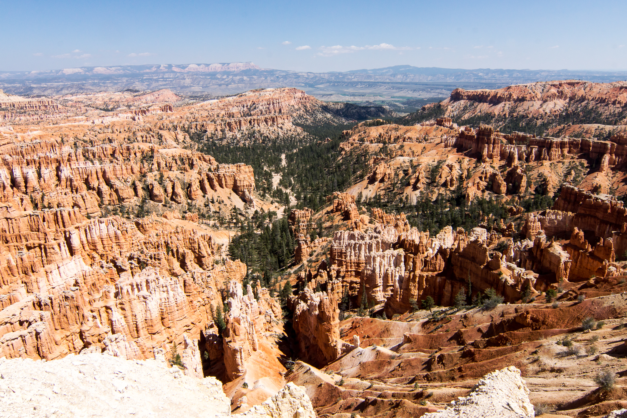 DSC01464 Bearbeitet 2