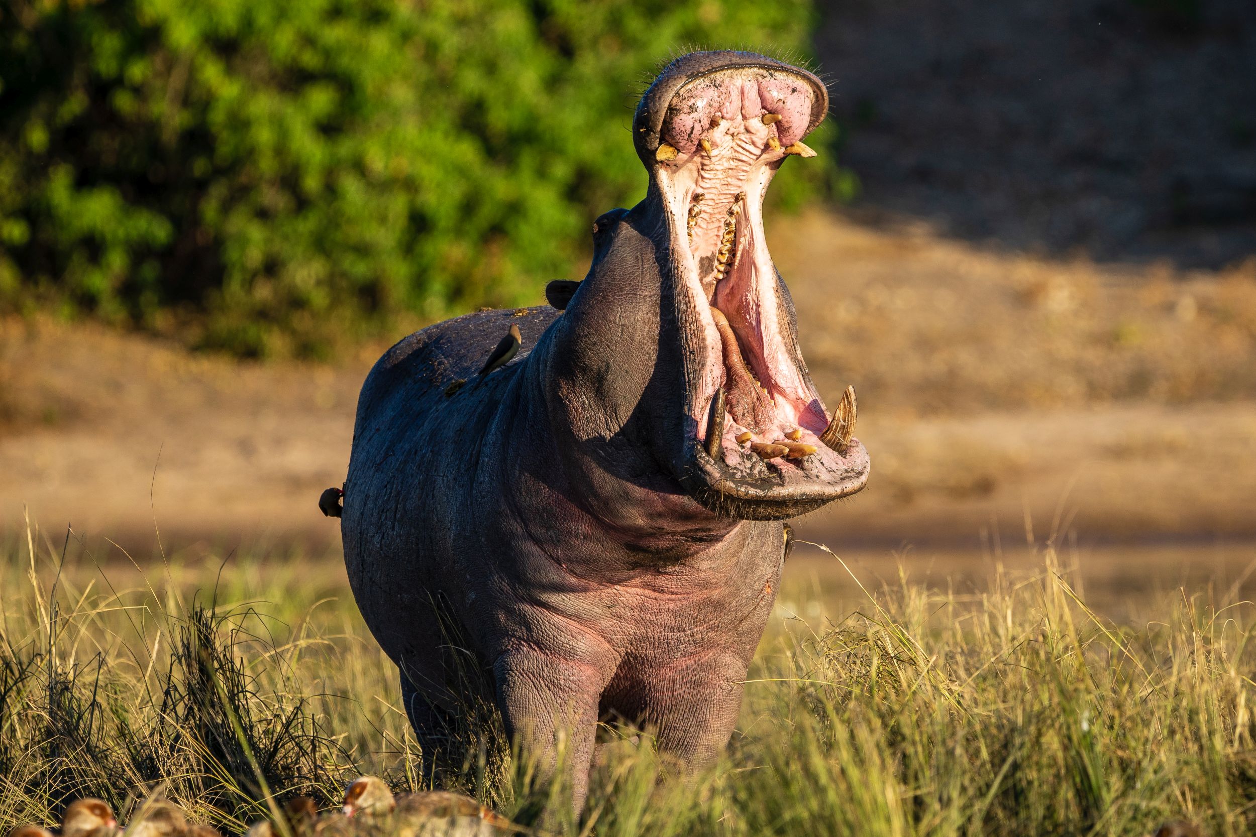 Urlaub2018 45S 00371