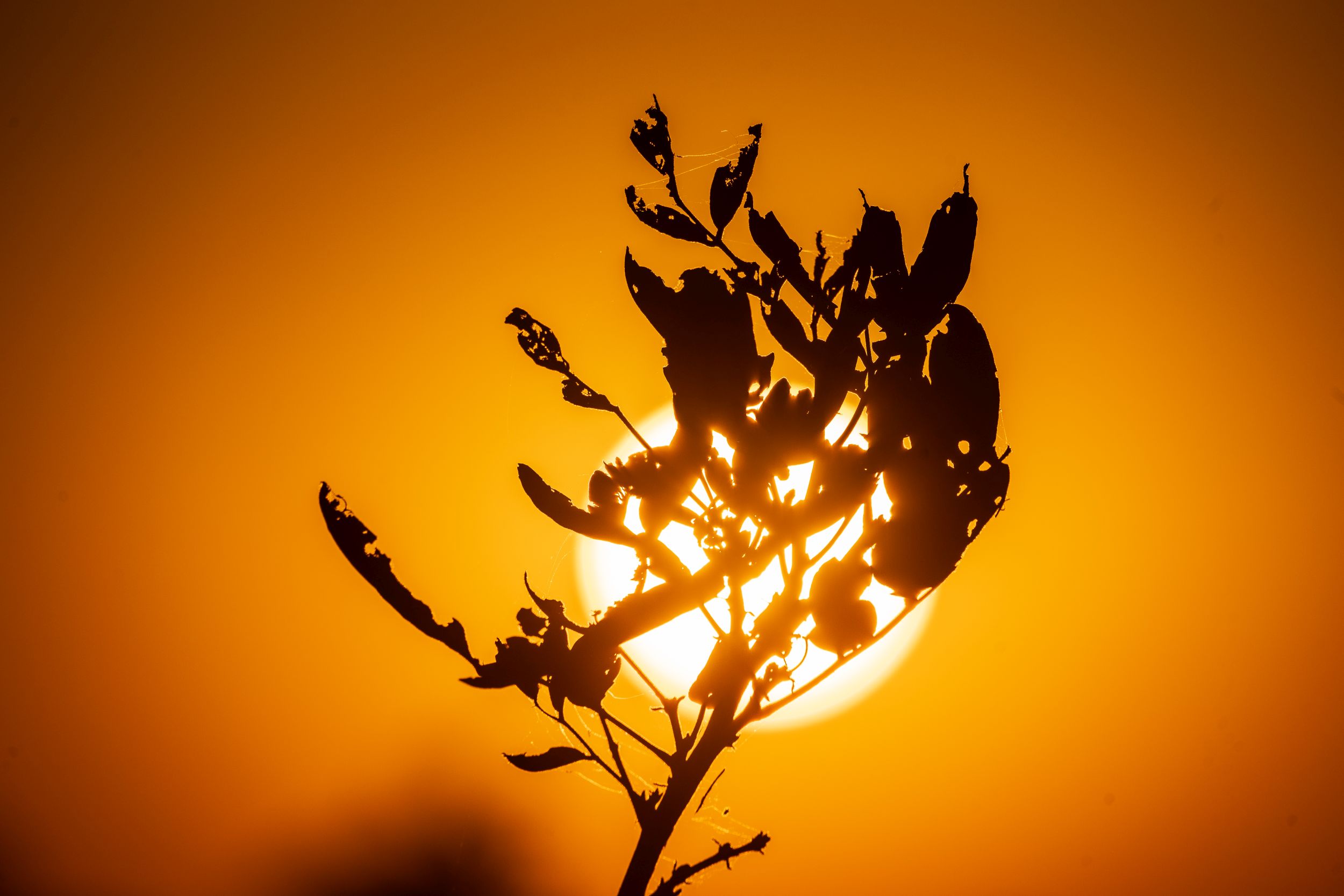 Urlaub2018 45S 01111