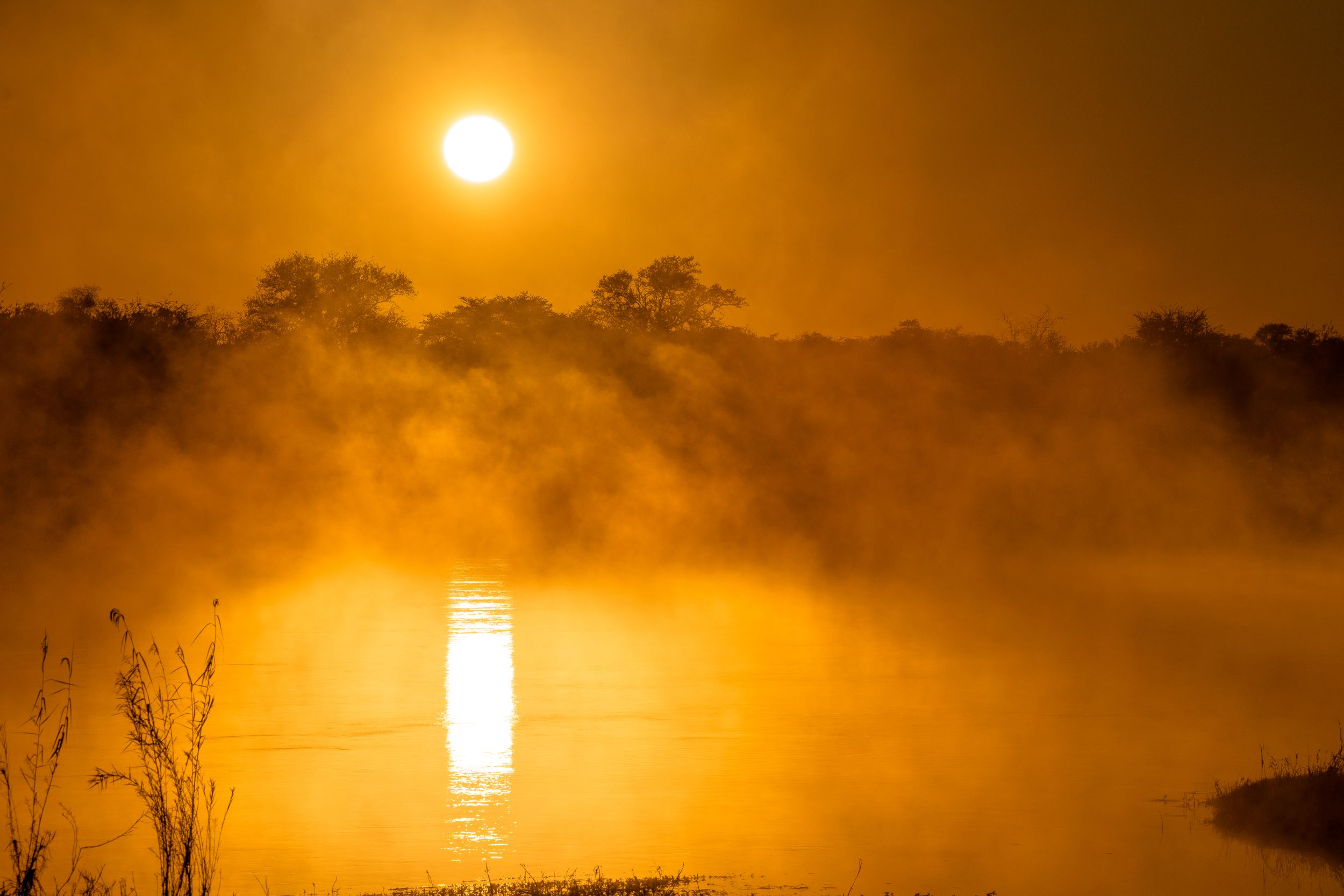 Urlaub2018 45S 09525